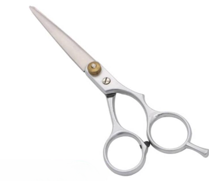 Barber Scissors | Hair Cutting Shears | 15.2cm | Silver
