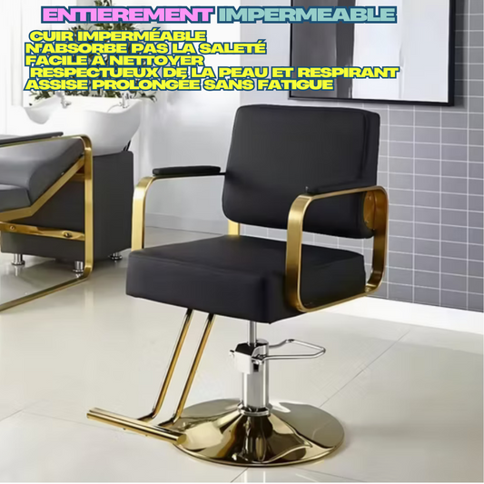 Fauteuil de coiffure moderne avec élévateur hydraulique | Plaque de disque | Noir/Or
