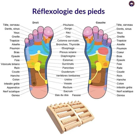 Maderotherapy Foot Roller Massager