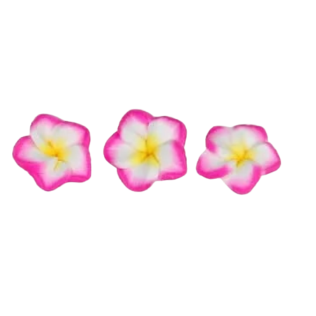 Toe Separators | 12 models