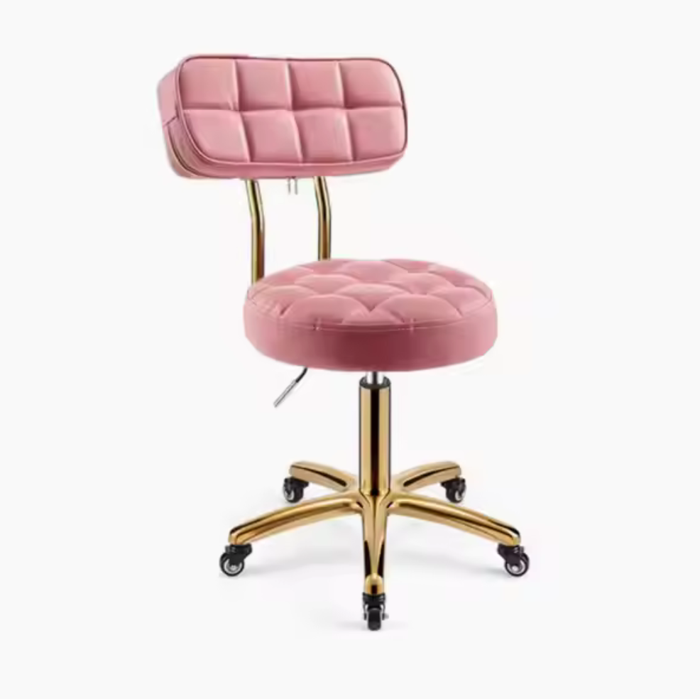 Beauty Salon Hydraulic Swivel Stool with Backrest | Pink and Gold