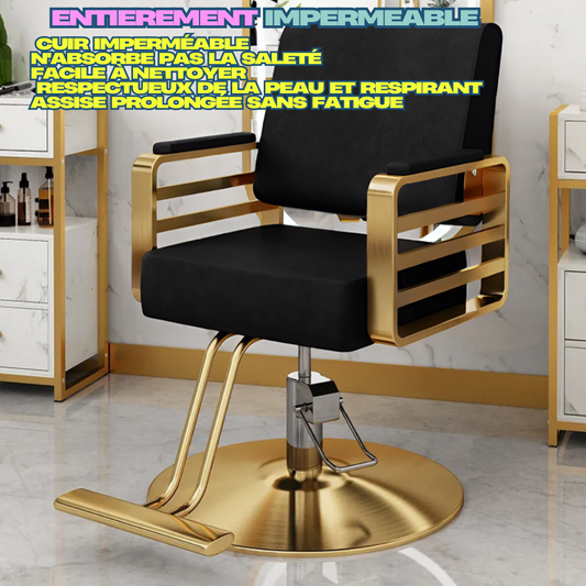 Modern Salon Styling Chair with Hydraulic Lift and Titanium Stripes Handle | Disc Plate | Black/Gold